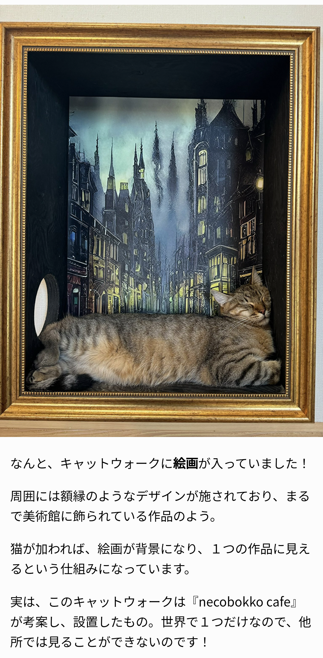 人間じゃないけど人間みたいな画像トピ