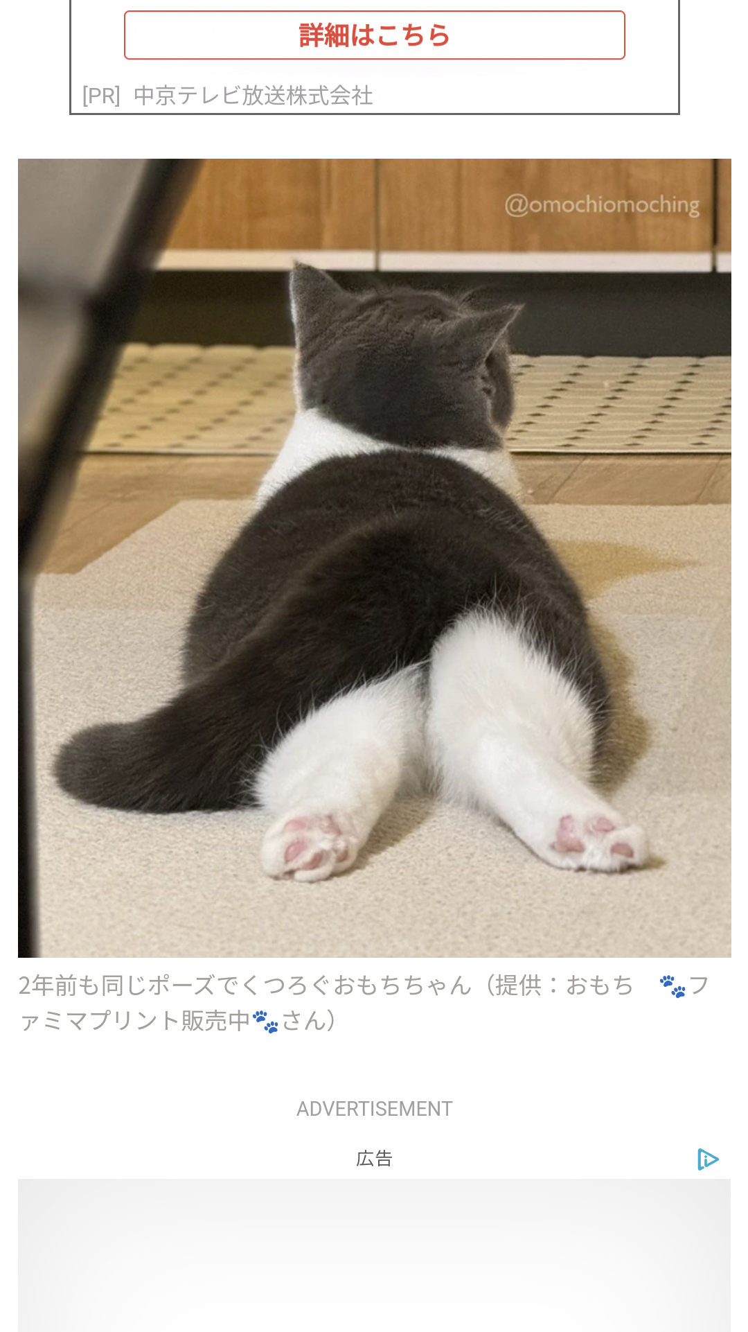 人間じゃないけど人間みたいな画像トピ