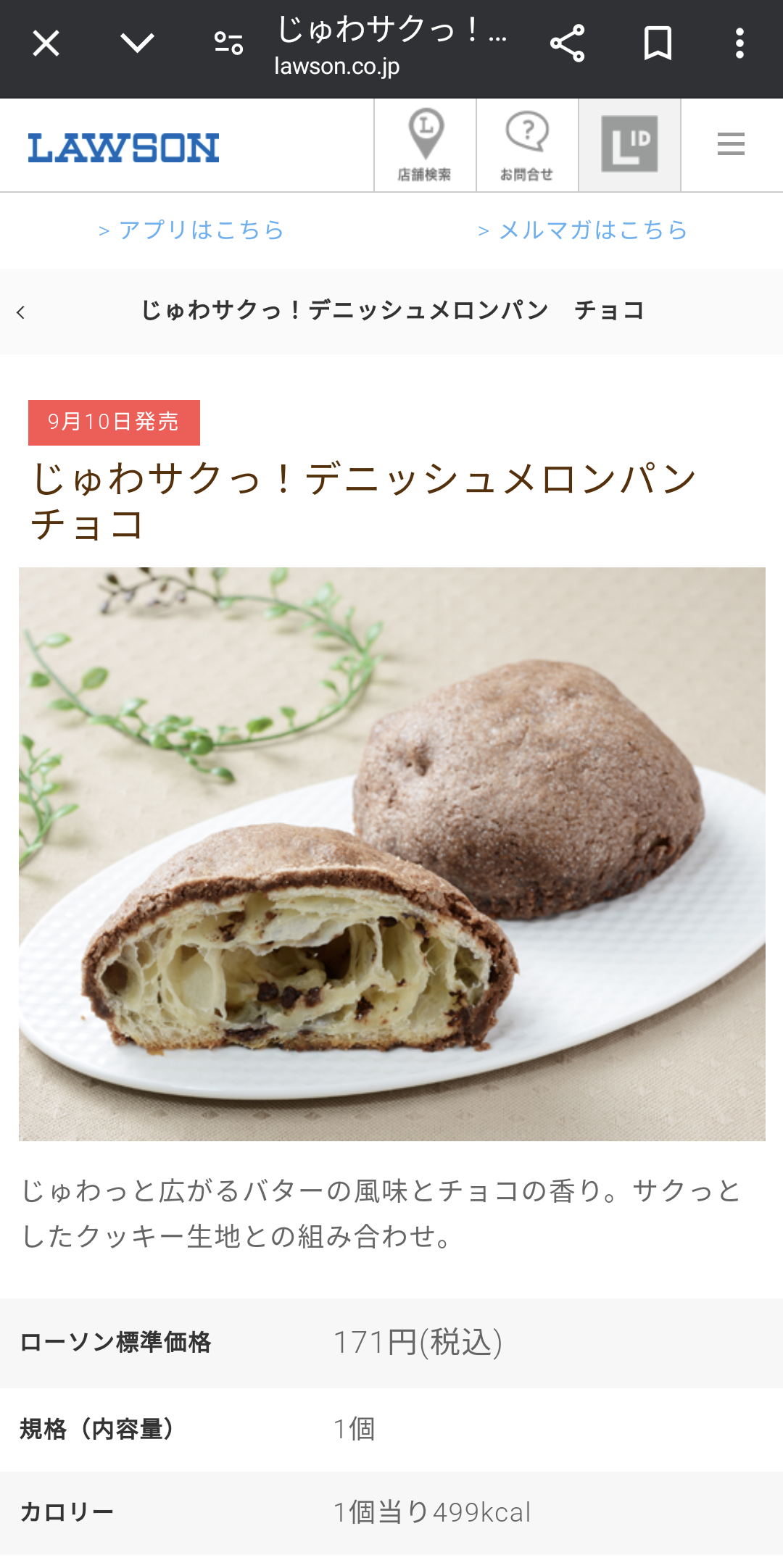 人間じゃないけど人間みたいな画像トピ