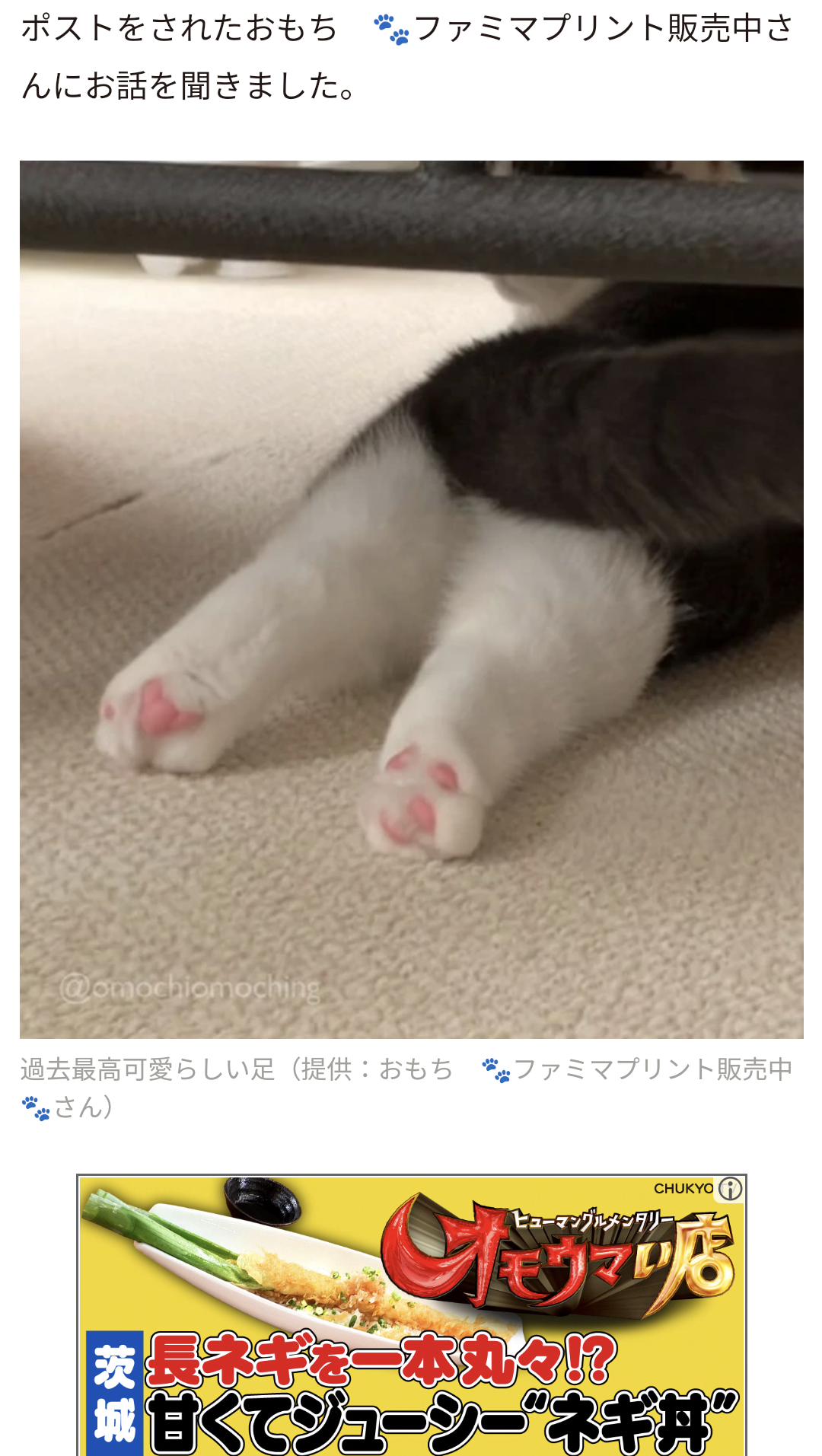 人間じゃないけど人間みたいな画像トピ