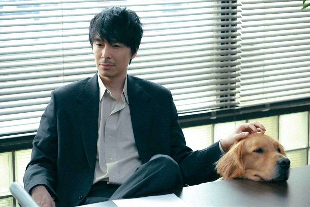 【妄想】帰ったら家に居るといいなって思う芸能人part3