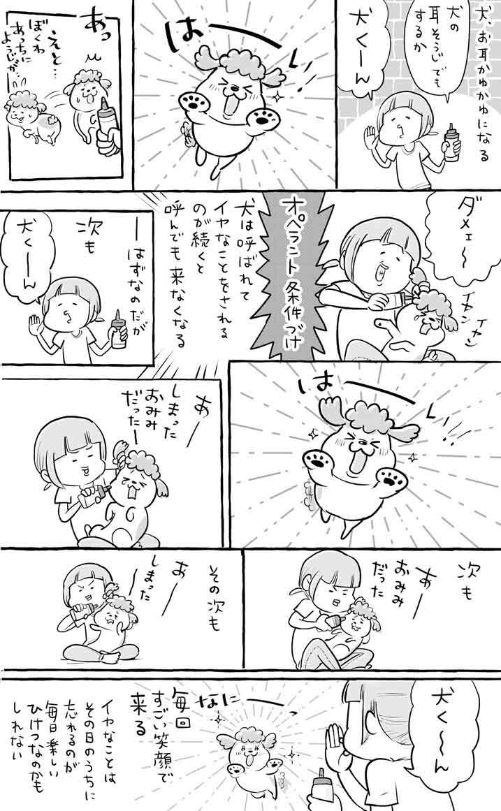 犬にありがちなこと