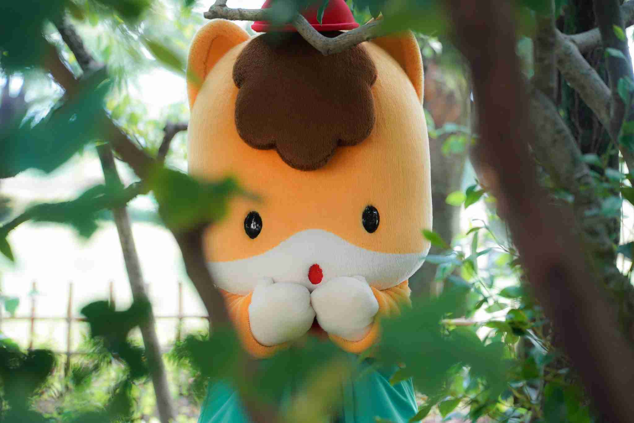 Xやってる人、おすすめ何系出てきますか？