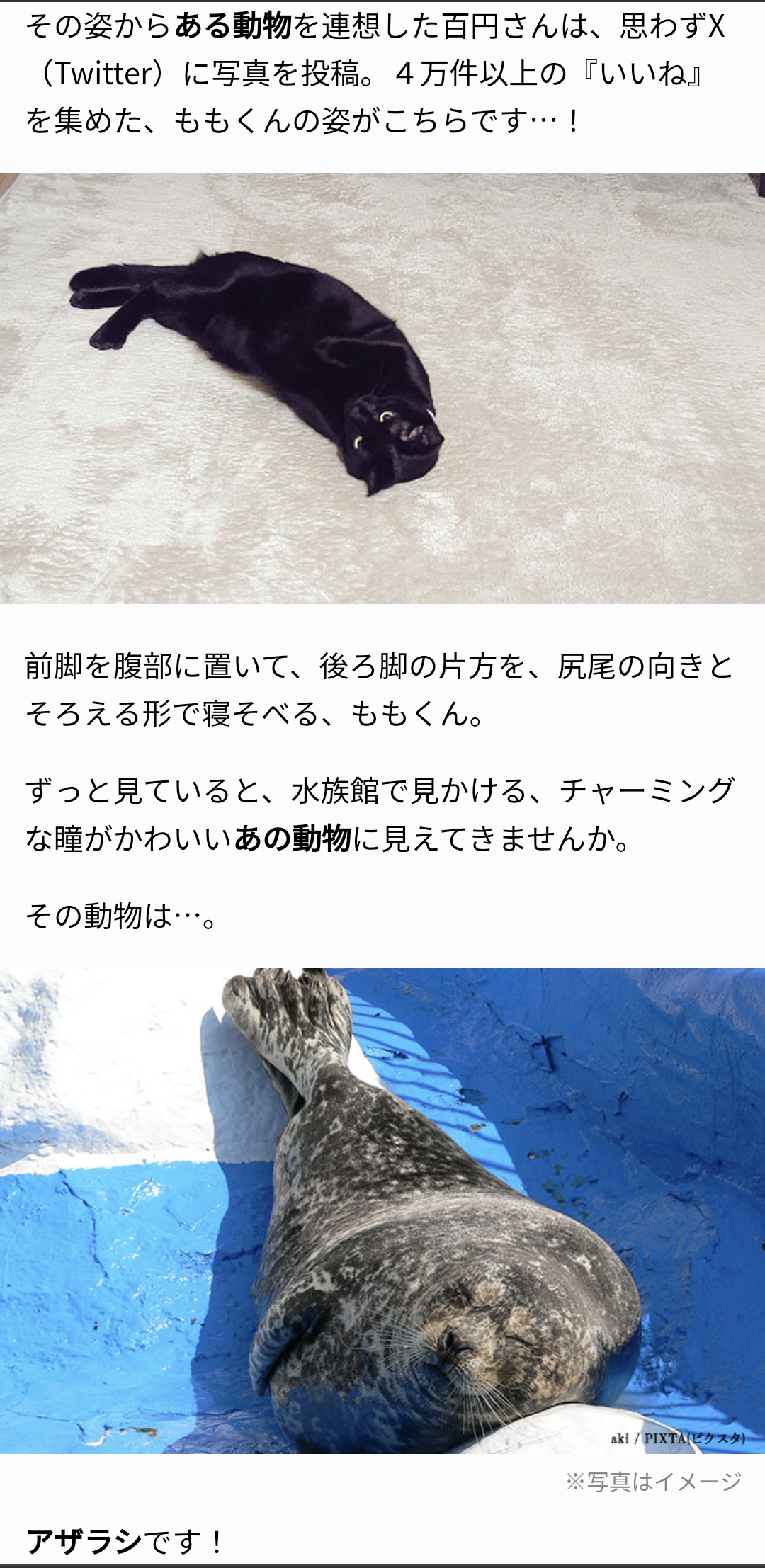 【画像】同じ衣装の芸能人Part9