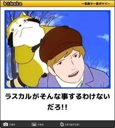 “害獣”アライグマが東京23区内でも急増中！ 指を食いちぎる凶暴さ、感染症の恐れも…「繁殖力が強く家の屋根裏に棲みついてしまう」被害総額は4億円超