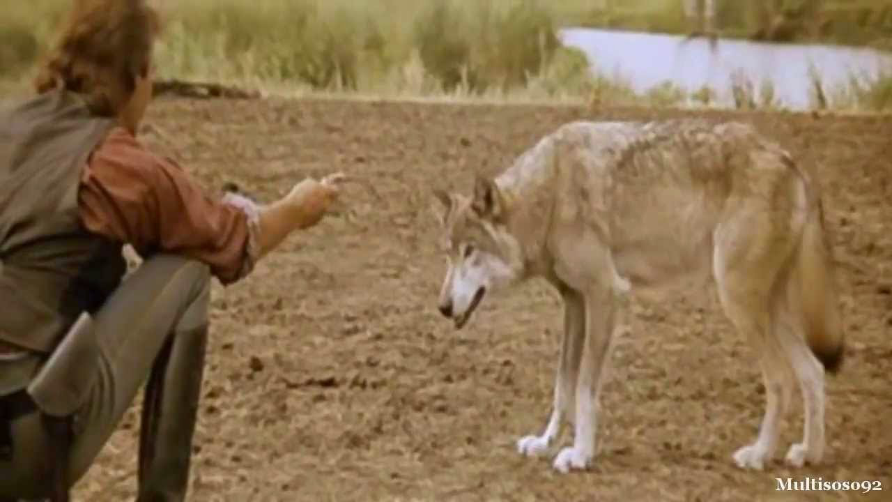 【画像】映画のワンシーンを貼ると観たことある人が作品名を当ててくれるトピPart17