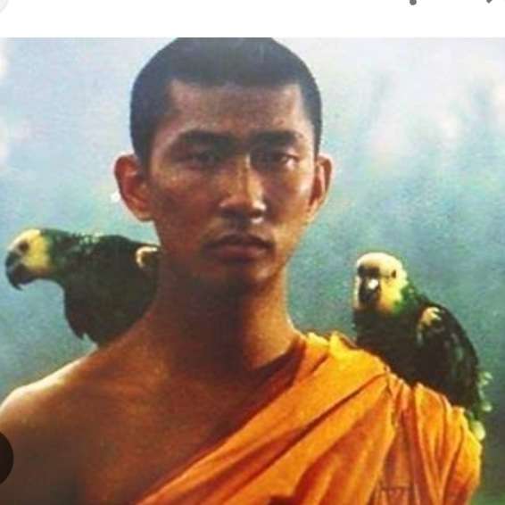 中井貴一さん好きな人