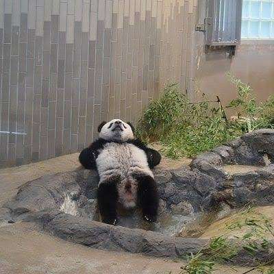 🫧🫧お風呂好きな人🫧🫧