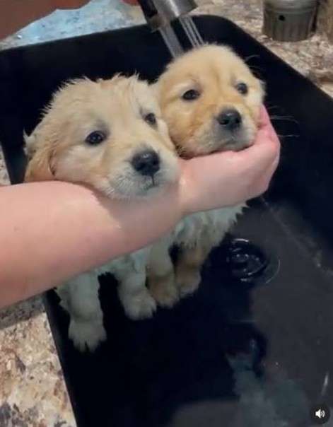 🫧🫧お風呂好きな人🫧🫧