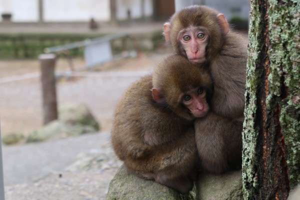 おすすめ九州旅行