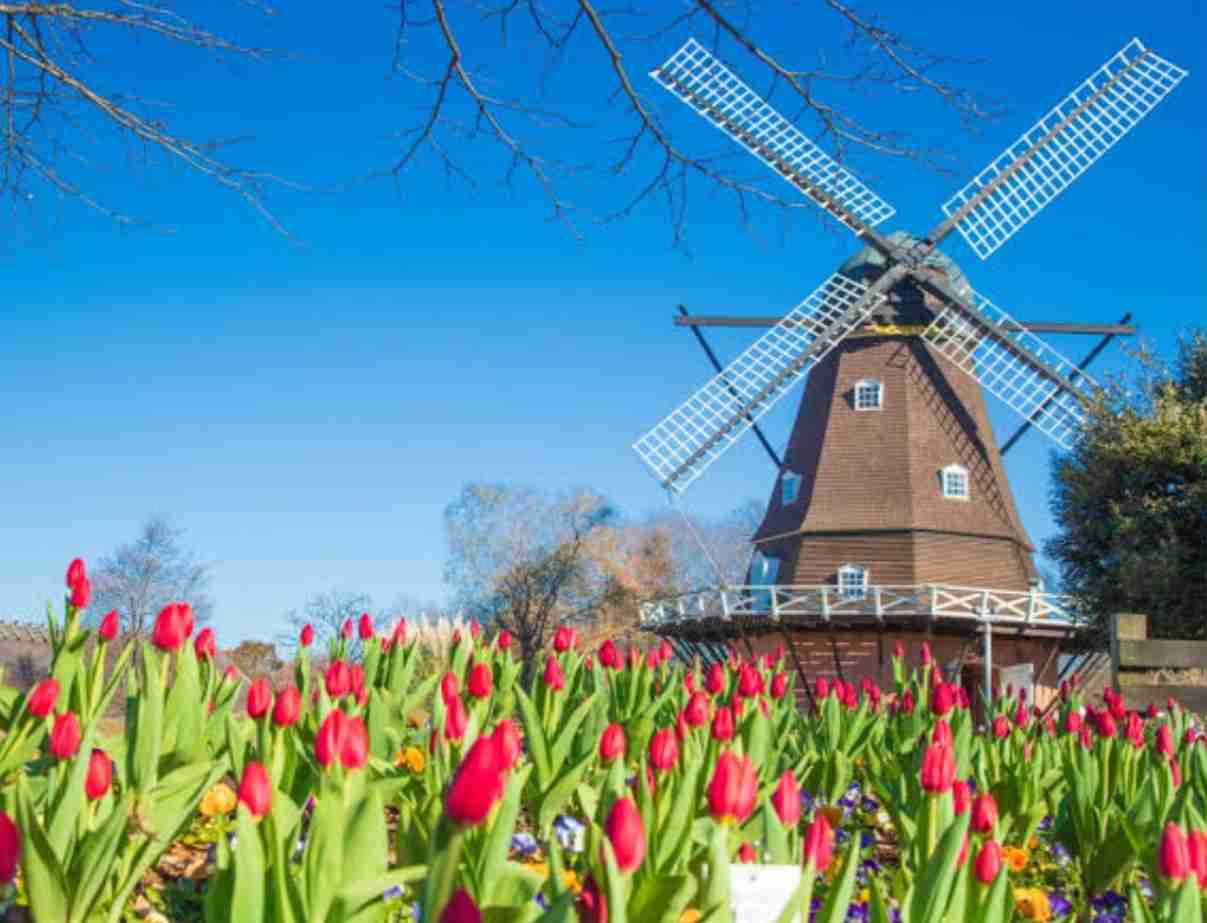 おすすめ九州旅行