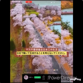 自民200議席下回る可能性　選挙区40超で競り合い　終盤情勢調査
