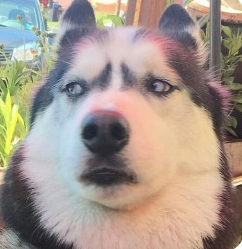 独身を羨ましがる既婚の友達