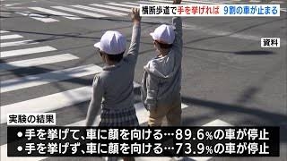 車優先？横断歩道での一時停止、福井は大阪と同率・ワースト3位…通過待つ住民「ほとんど止まらない」