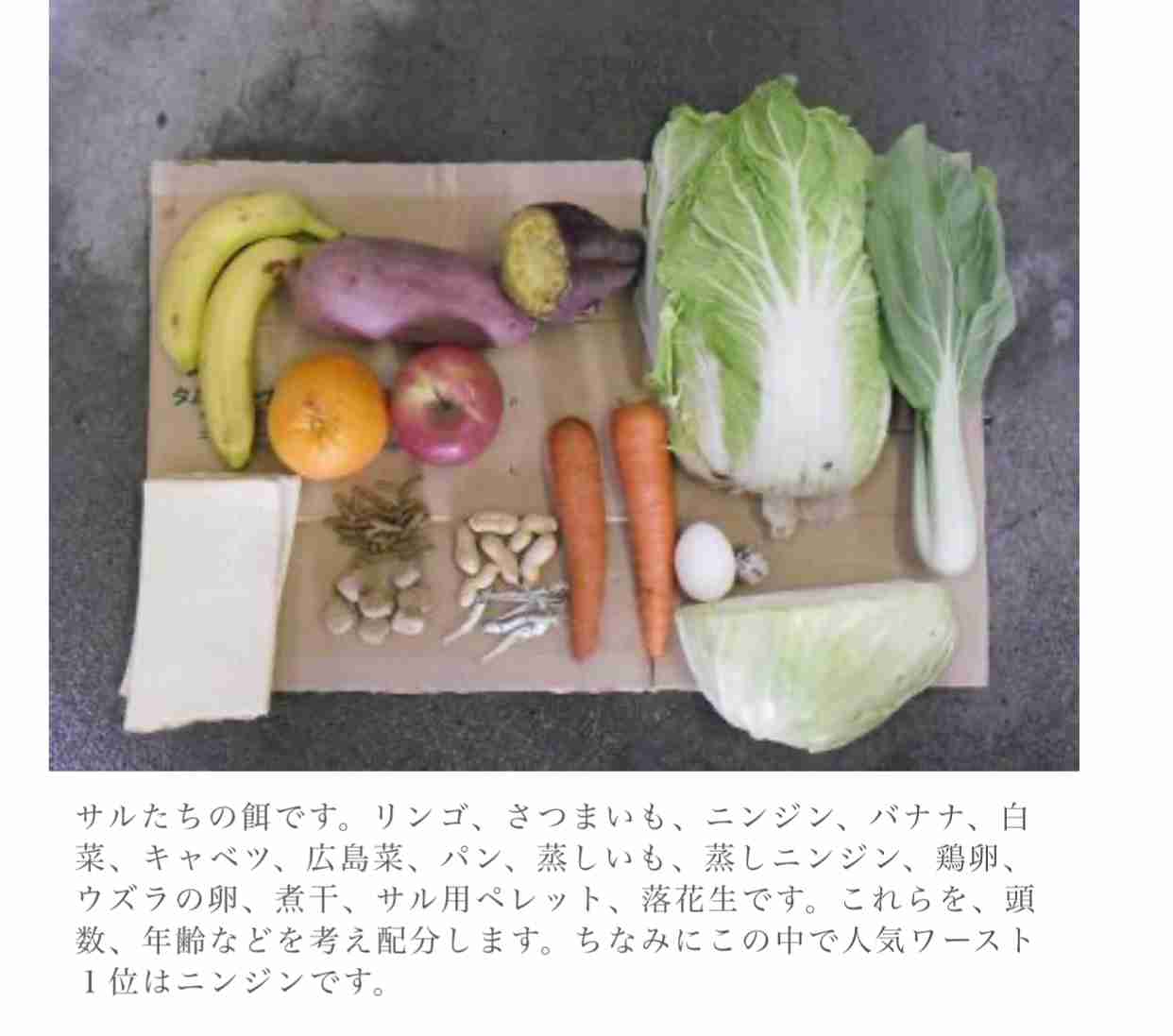 サルのエサを盗んだのは…飼育員の男性　大阪・天王寺動物園、窃盗容疑で被害届を提出