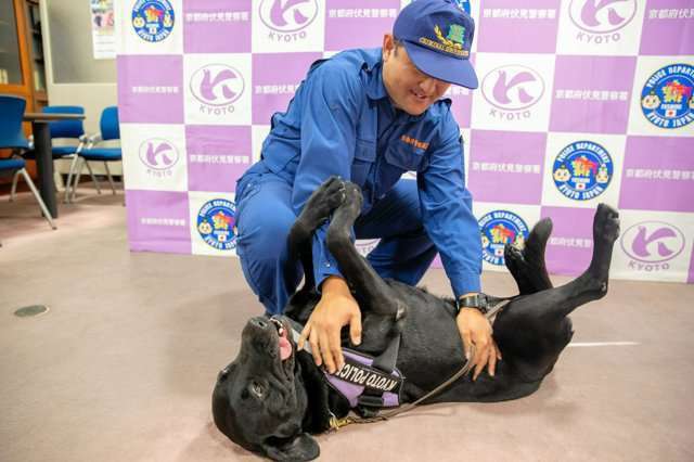 30分前まで食事…行方不明に　におい嗅ぎ、1時間で見つけた警察犬