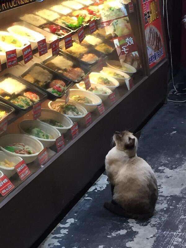 外食の頻度