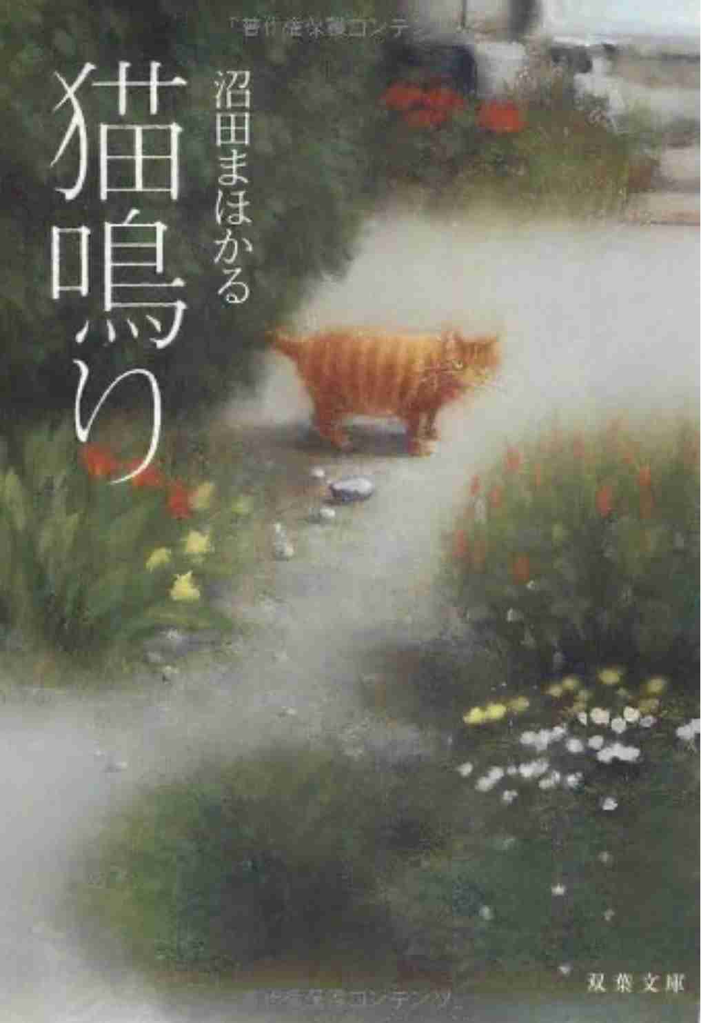 読んだけど正直自分には合わなかった本・小説Part5