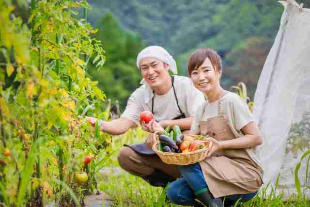 進学や転勤関係なく県外へ移住した人いますか？
