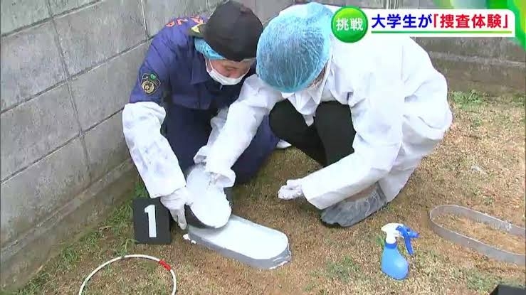 【ネタ】玄関先のミニ花壇を誰かが踏んでる【OK】