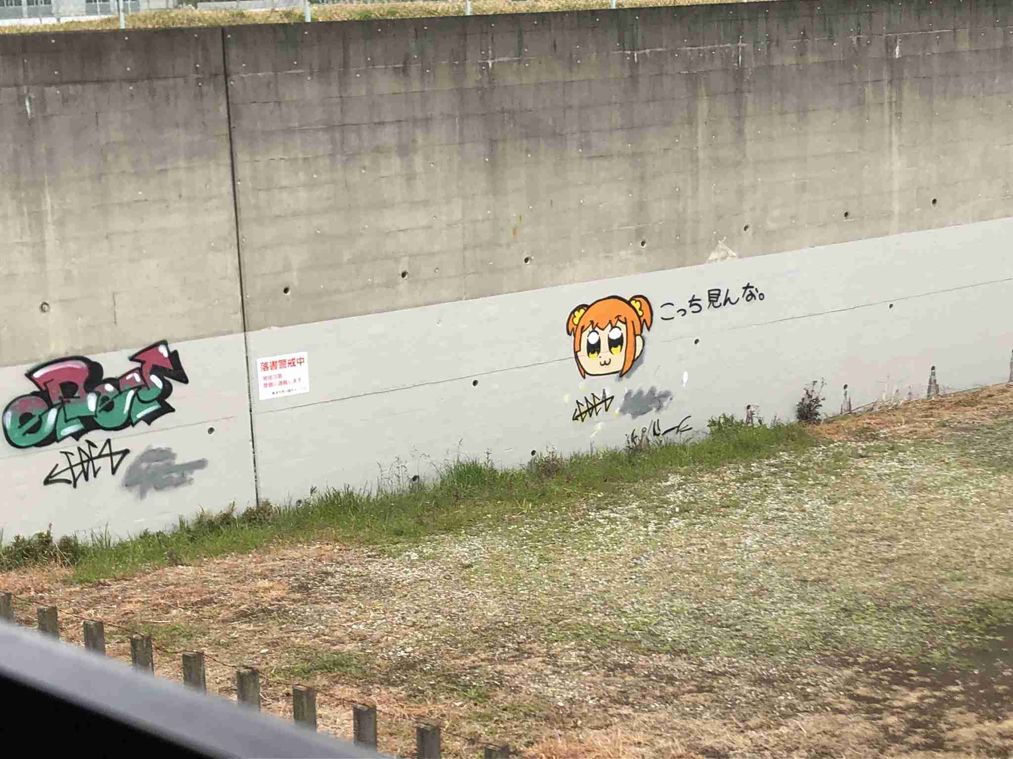 今持ってる1番謎の画像 Part3
