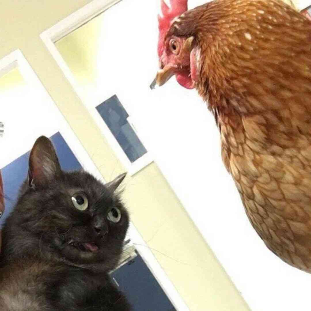 今持ってる1番謎の画像 Part3