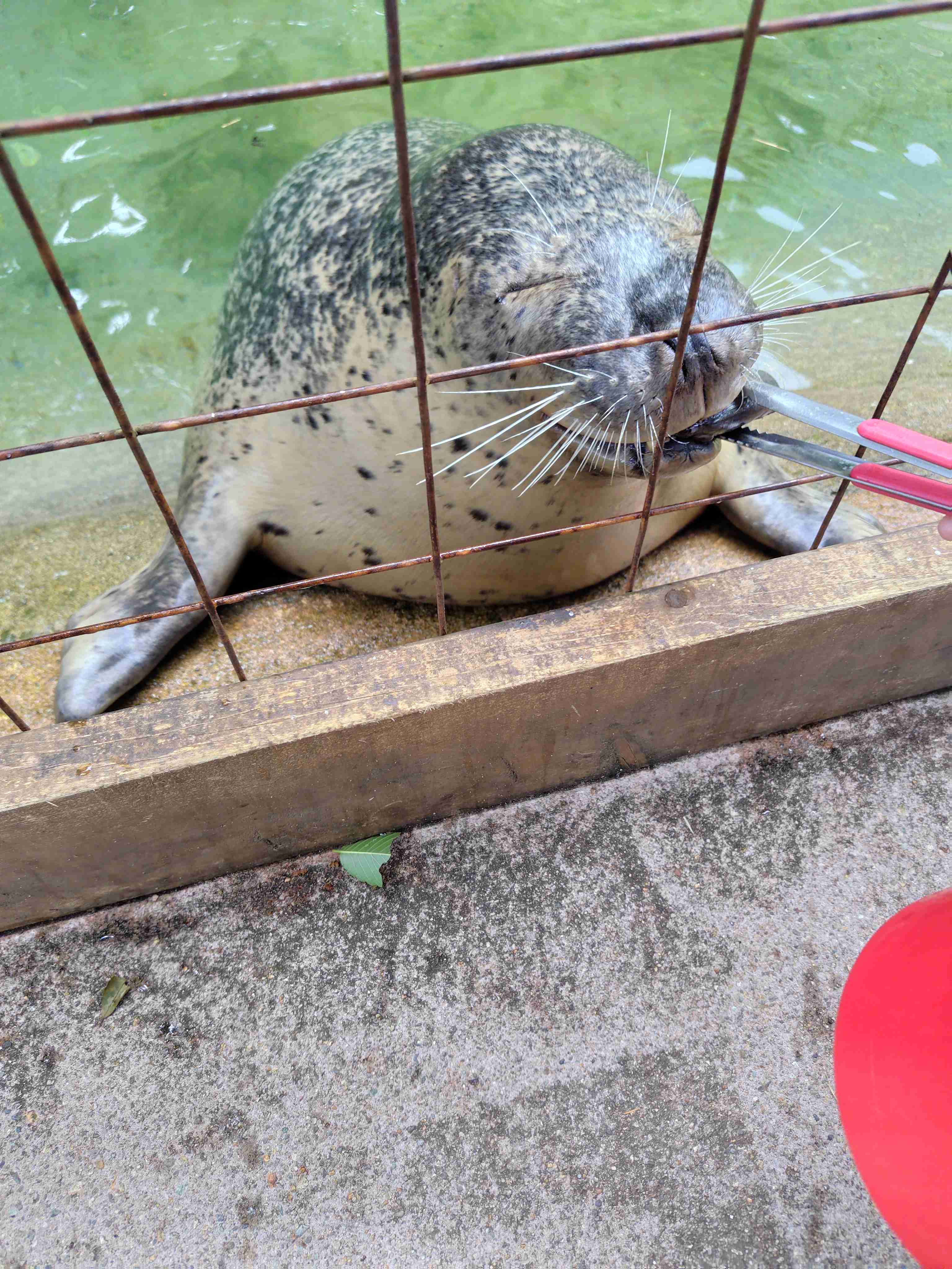 今持ってる1番謎の画像 Part3