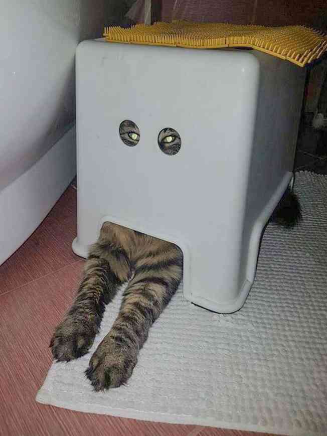 今持ってる1番謎の画像 Part3