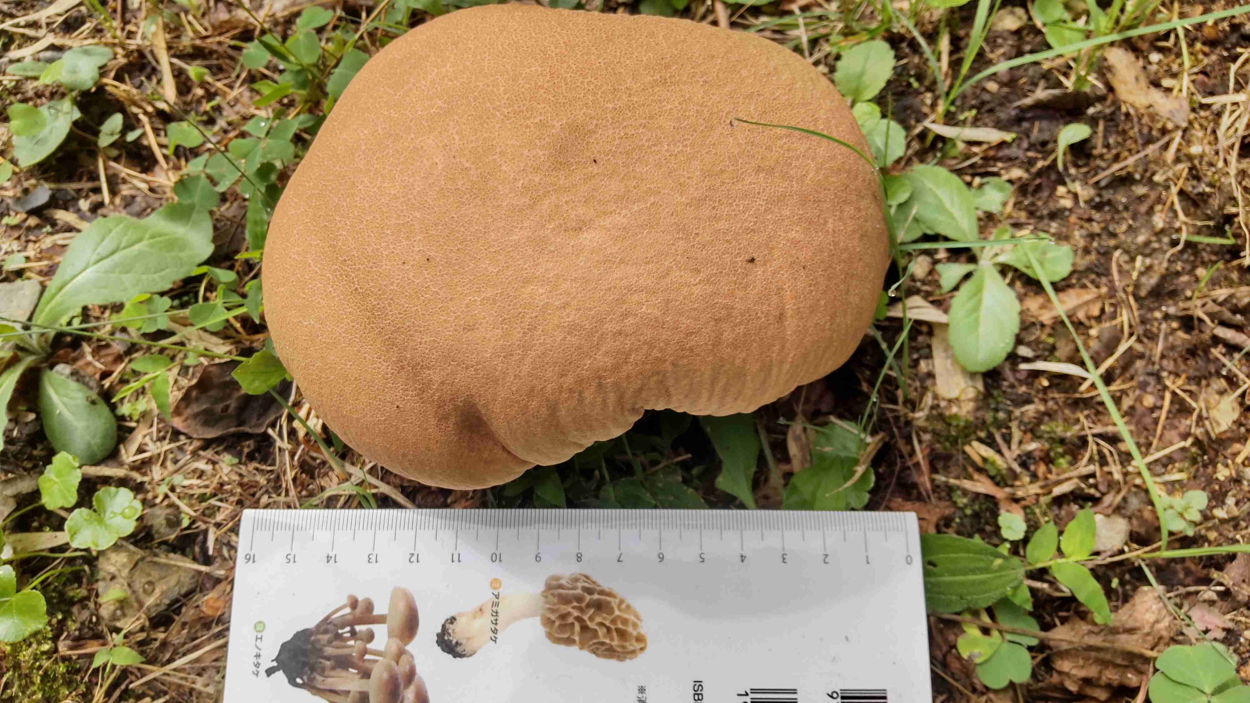 今持ってる1番謎の画像 Part3