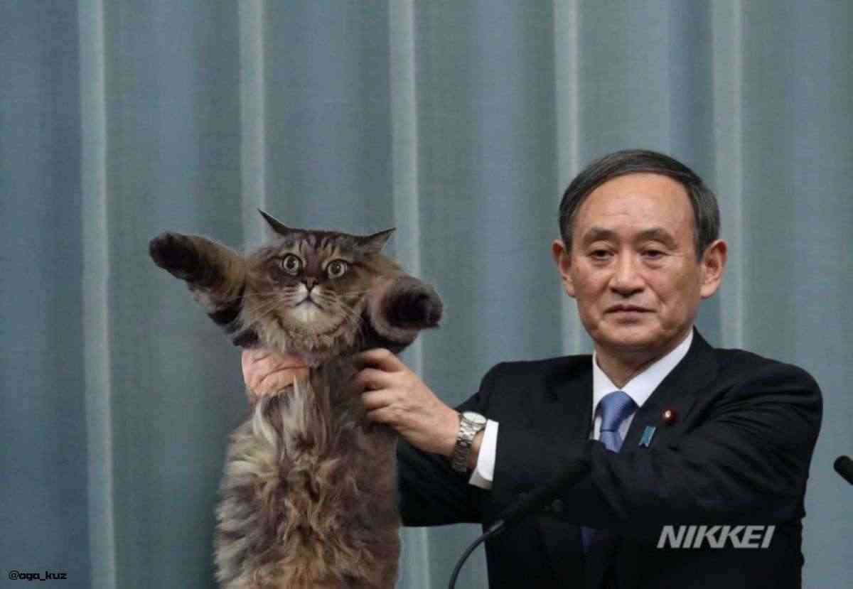 今持ってる1番謎の画像 Part3