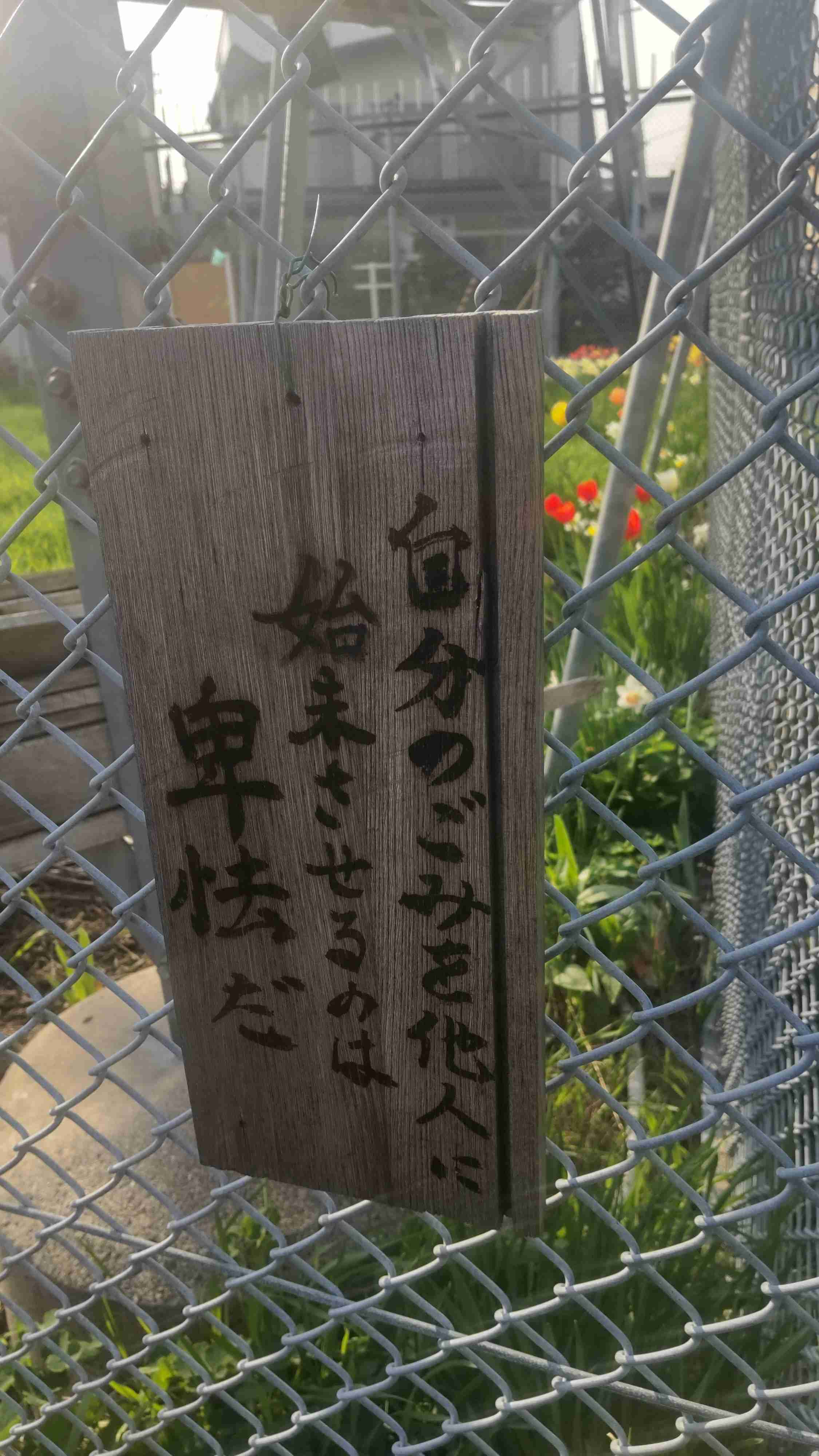 今持ってる1番謎の画像 Part3