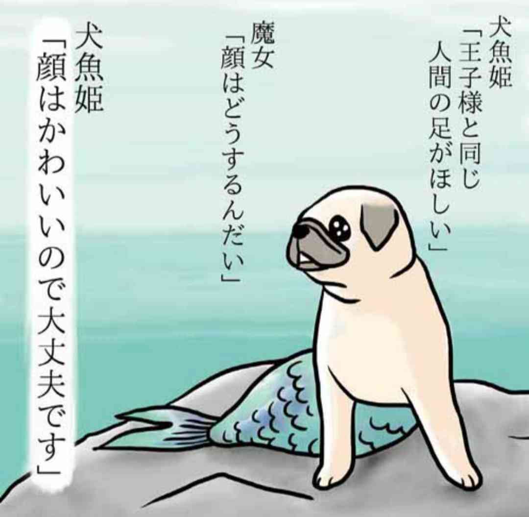 今持ってる1番謎の画像 Part3