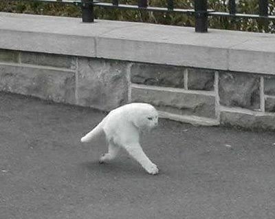 今持ってる1番謎の画像 Part3