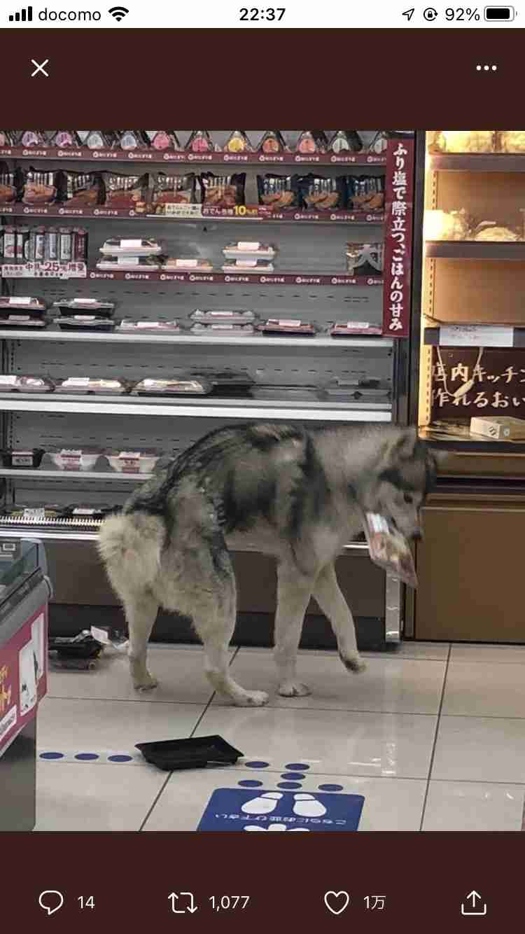 今持ってる1番謎の画像 Part3