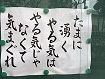 今持ってる1番謎の画像 Part3
