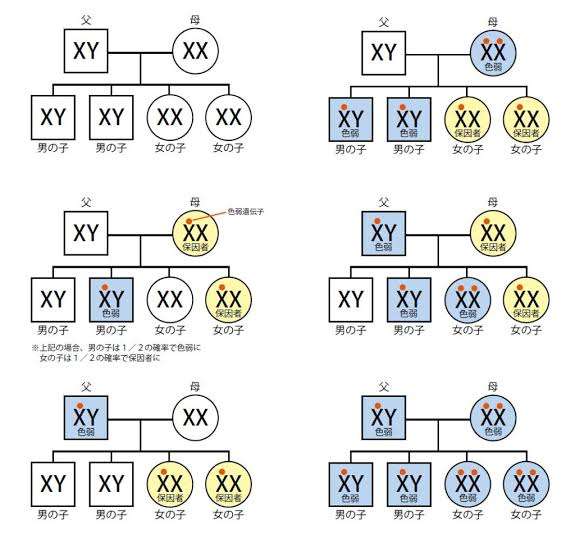なぜ学校の「色覚検査」はなくなった? “色覚異常”や“色覚障害”から呼び方も変化、理由を眼科医が解説