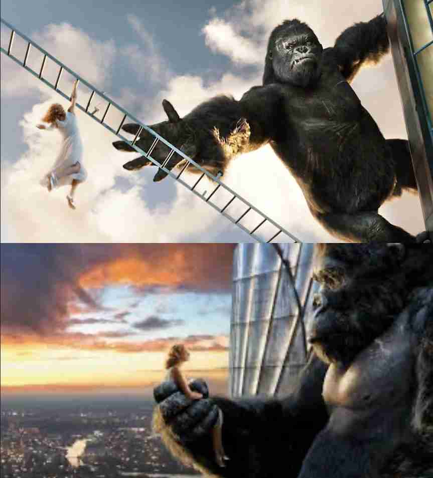 女性を守るような主人公