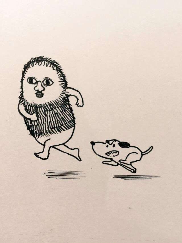 犬種と年齢と散歩時間を書くトピ