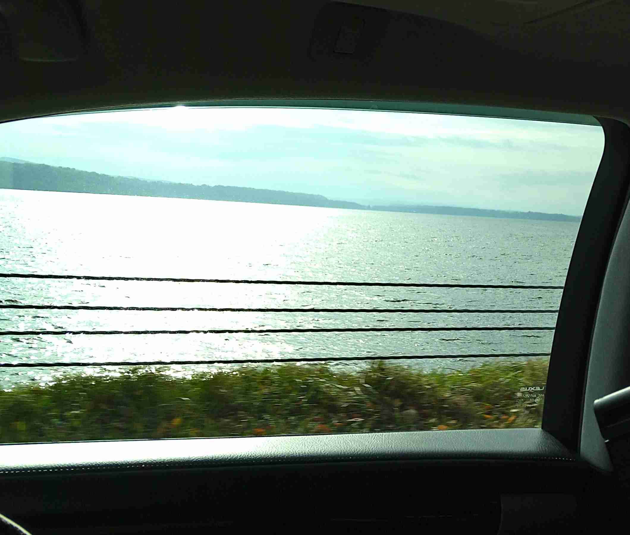 【ゴールデンカムイ】尾形百之助を語るトピpart8