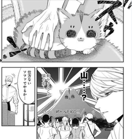 「自分が座れると思うなよ」猫との暮らしに座椅子を勧める理由に笑ってしまう！