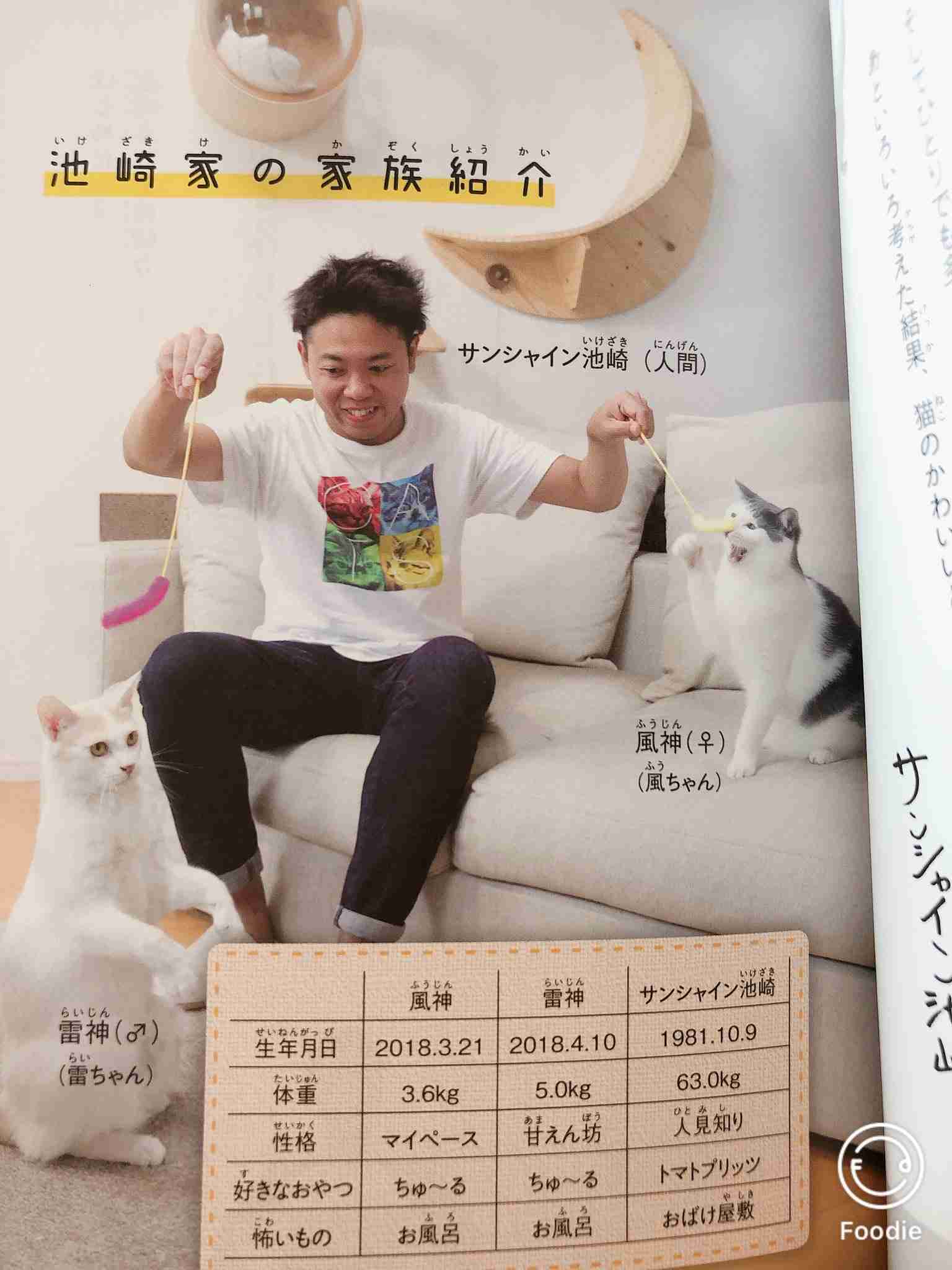「自分が座れると思うなよ」猫との暮らしに座椅子を勧める理由に笑ってしまう！