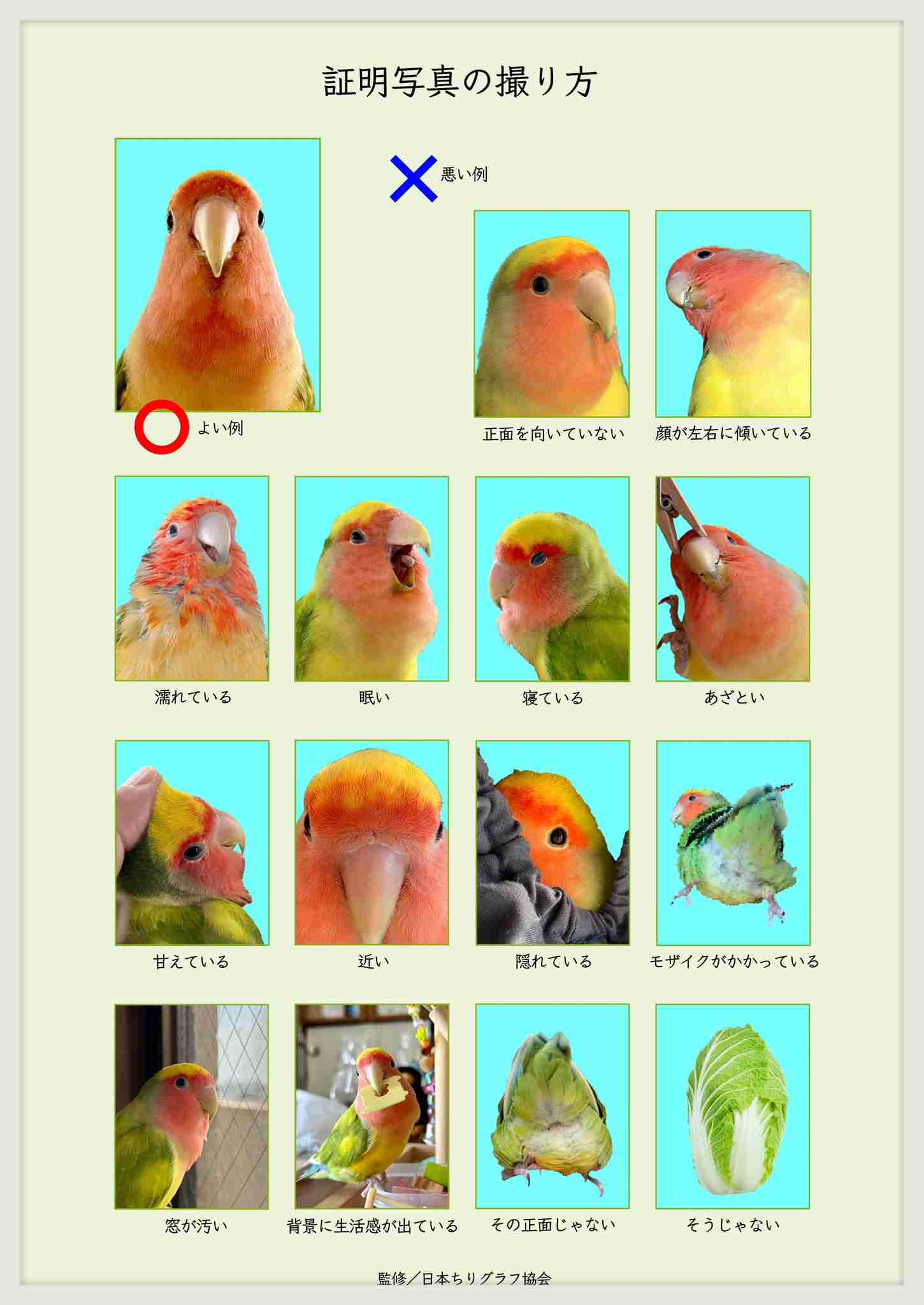 Snow Manら旧ジャニ勢の紅白出場見送りへ 大炎上「Nスぺ」を機に関係悪化