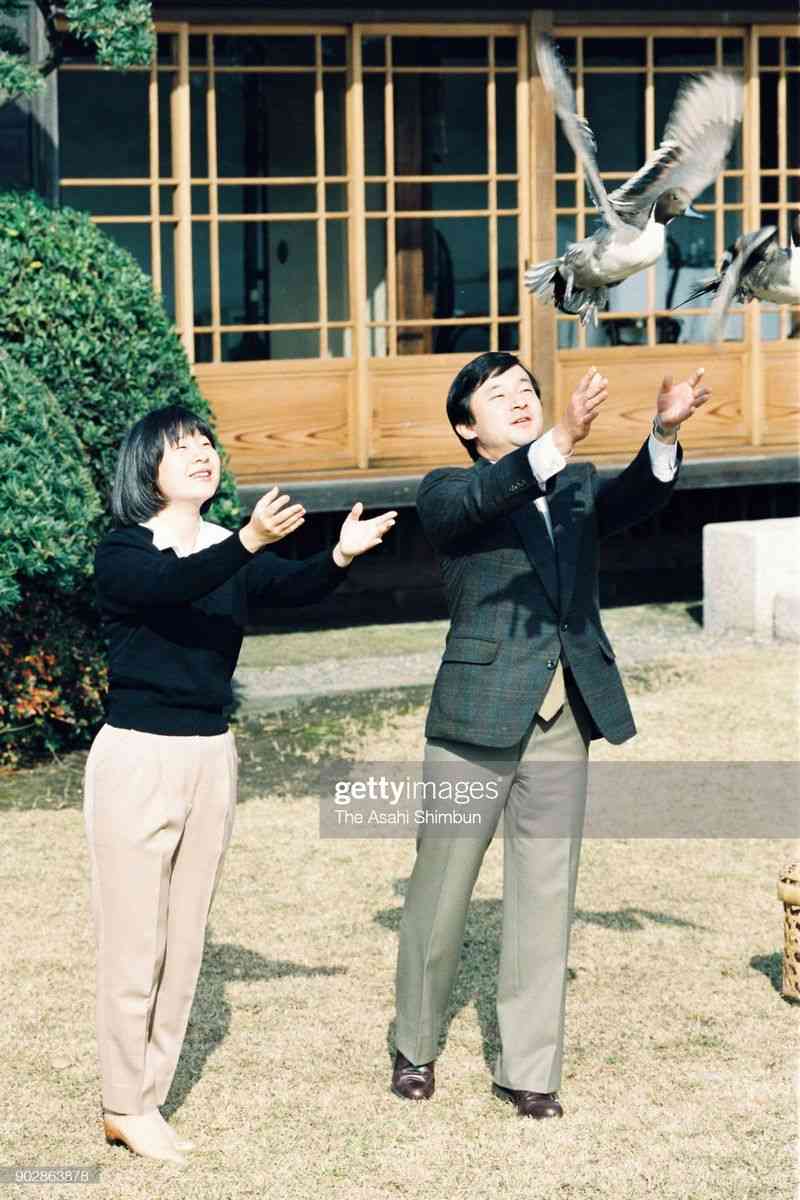 https://up.gc-img.net/post_img/2024/11/9NsheLyl7dElJwU_3gZ6L_8913.jpeg