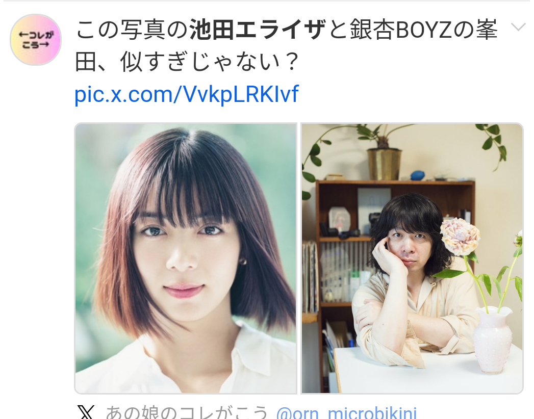 （今更だけど）可愛い、綺麗、美人の差は何ですか？