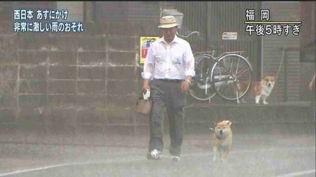 行方不明の男性探せ…神奈川県警の警察犬がお手柄、30分で発見 ご褒美は