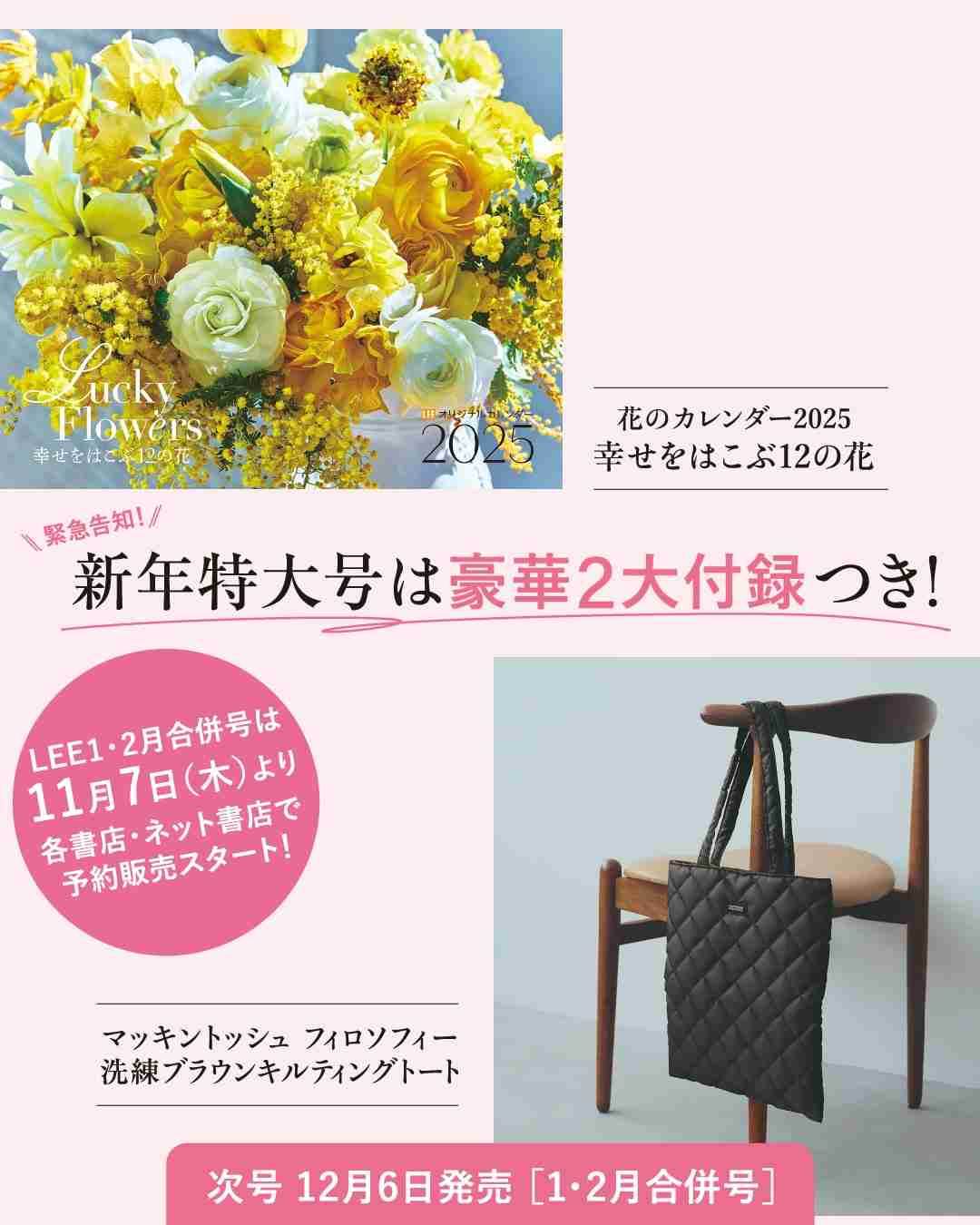 【定期トピ】雑誌付録 12・1月号