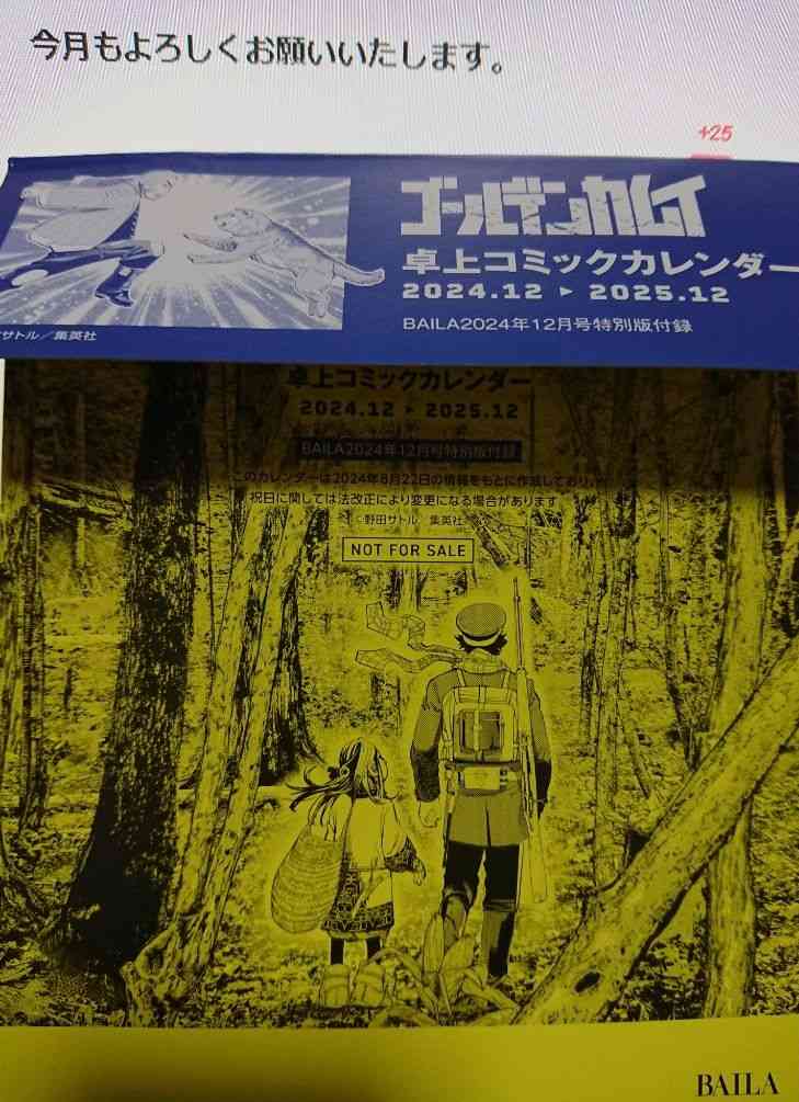 【定期トピ】雑誌付録 12・1月号