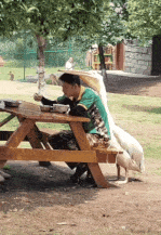 動物園で自撮りした男性、横にいたペリカンの行動が爆笑を呼ぶ（中国）