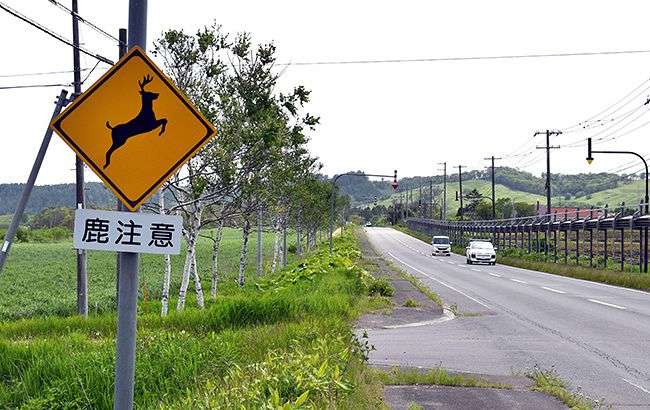 さては田舎の人だなと思わせてください