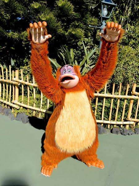 ディズニー敷地内にサル出没…体調約50センチ 千葉で目撃情報相次ぐ　専門家「しばらく滞在する可能性」